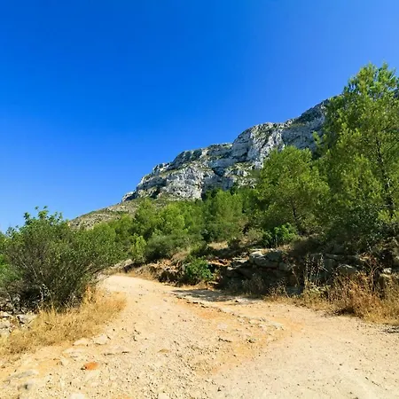 Brisas Vyb Daire